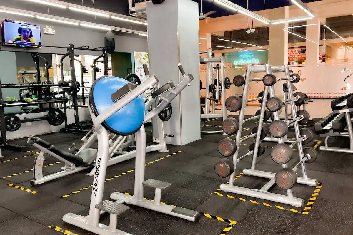 musculation  équipement
