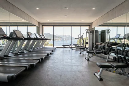 Vue panoramique d'une salle de sport moderne dans les Alpes-Maritimes avec équipements de fitness